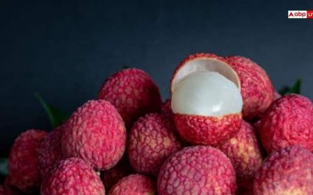 लीची में हैं कई गुण, रोजाना खाने से दूर होंगी ये 6 परेशानियां