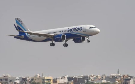 'तुर्किए के साथ खत्म करो डील', भारत सरकार ने दिया इंडिगो को 3 महीने का अल्टीमेटम