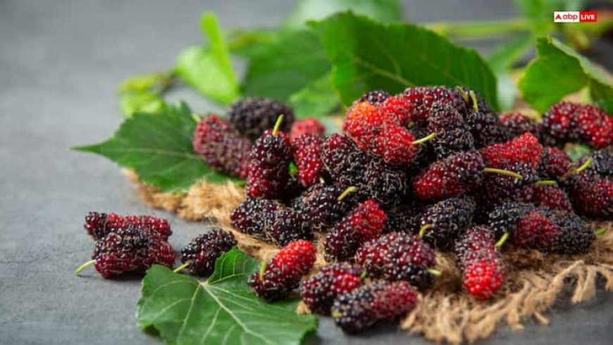 गर्मी में रोजाना खाली पेट चबाएं शहतूत के पत्ते, इन बीमारियों से मिलेगा छुटकारा