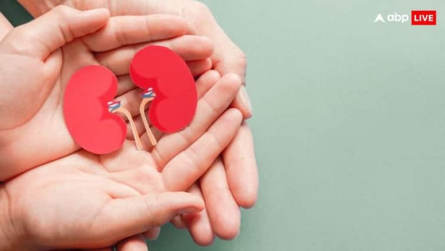 किडनी ट्रांसप्लांट या डायलिसिस, डॉक्टर से समझिए कब पड़ती है किसकी जरूरत?