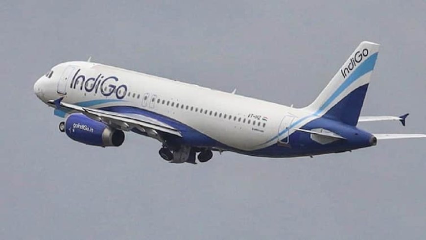 IndiGo की चौथी तिमाही में 62% बढ़ा मुनाफा, शेयरहोल्डर्स के लिए 100 प्रतिशत डिविडेंड का ऐलान