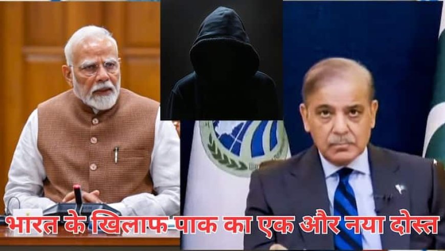 चीन-तुर्किए के बाद पाकिस्तान का एक और सदाबहार दोस्त आया सामने, भारत के साथ है बड़ा कारोबार