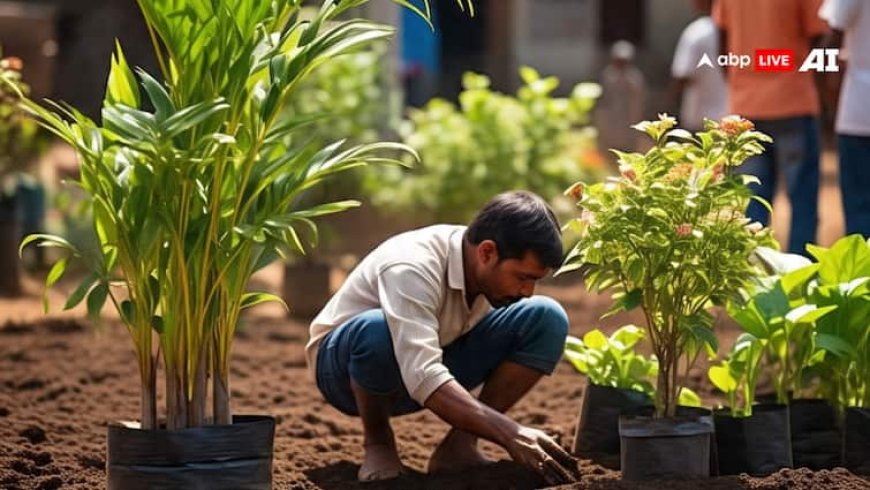 Nautapa 2025: नौतपा में लगाए ये पौधे, घर में आएगी सुख-समृद्धि, दूर होंगी जीवन की परेशानियां