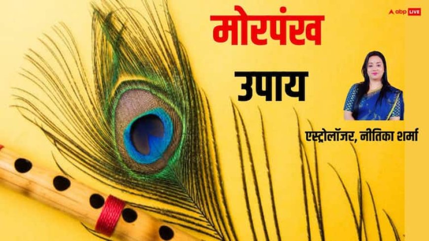 Vastu Tips: घर में धन लाभ के लिए कितने मोर पंख रखने चाहिए ?