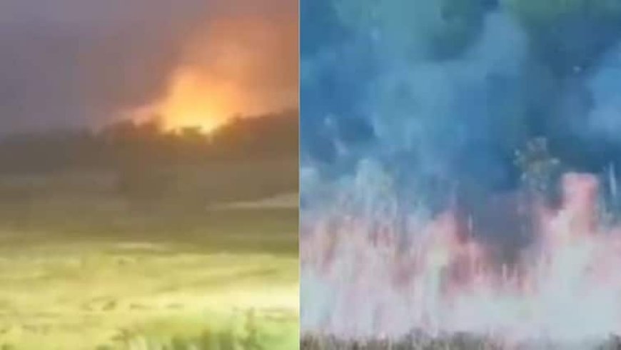 BSF की स्ट्राइक में पाकिस्तान की 72 चौकियां हुई थीं तबाह... ऑपरेशन सिंदूर का नया वीडियो आया सामने