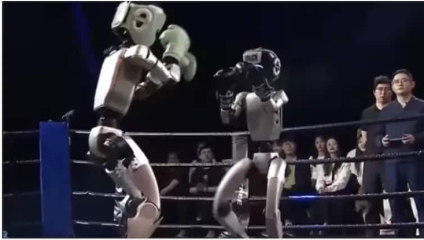Robot Boxing Video: खूब चले लात-घूंसे,  चीन में हुआ दुनिया का पहला Robot Boxing Tournament, जानिए कौन जीता?