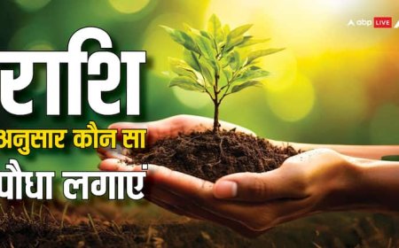 Astrology: राशि अनुसार पौधे लगाना होगा फायदे का सौदा, कुंडली में दूर होगी ग्रहों की अशुभता