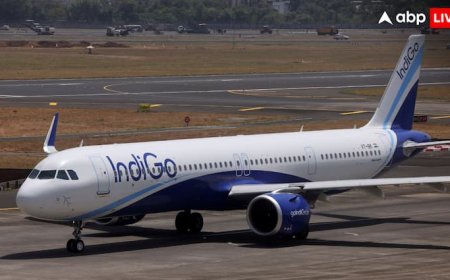 4000 फीट की ऊंचाई पर थी फ्लाइट, अचानक इंडिगो के प्लेन से टकराया गिद्ध, रांची में इमरजेंसी लैंडिग