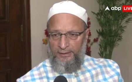 'हमने सऊदी अरब और मुस्लिम देशों के संगठन को समझाया', पहलगाम हमले पर पाकिस्तान की पोल खोलने पर बोले ओवैसी