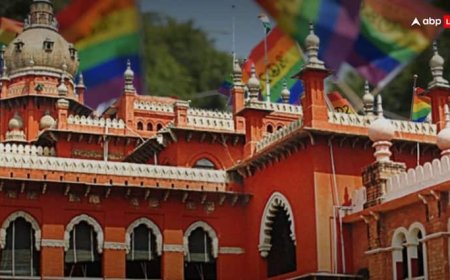 'फैमिली बनाने के लिए शादी जरूरी नहीं', परिवार की मर्जी के खिलाफ साथ रह रहे कपल की याचिका पर हाईकोर्ट की अहम टिप्पणी