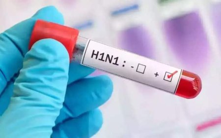 African Swine Fever: असम के गांव में मिला अफ्रीकी स्वाइन फीवर, लगाए गए कई प्रतिबंध, जानें यह कितना खतरनाक