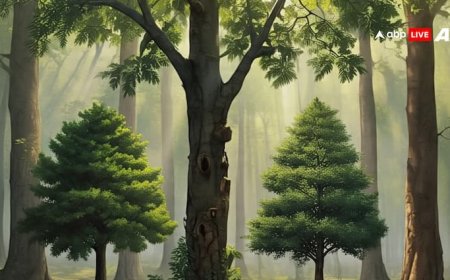 World Environment Day 2025: पृथ्वी के रक्षक और इंसानों के खास दोस्त हैं पीपल समेत ये 5 पेड़