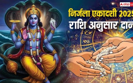 Nirjala Ekadashi 2025 Daan: निर्जला एकादशी पर आज राशि अनुसार करें दान, खुल जाएगा भाग्य