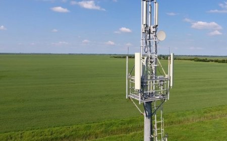 कहीं मोबाइल टॉवर अपनी जमीन पर लगा कर 25 हजार कमाने का ऑफर आपको भी तो नहीं मिला? सावधान, जल्दी पढ़िए ये खबर