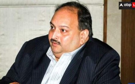 मेहुल चौकसी पर SEBI का बड़ा एक्शन, बैंक अकाउंट से लेकर म्यूचुअल फंड और शेयर तक कुर्क करने का दिया आदेश