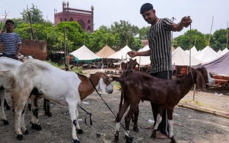 गाय, बछड़े और ऊंट की कुर्बानी पर बैन... बकरीद पर दिल्ली, यूपी और एमपी की सरकारें अलर्ट, एडवाइजरी पर सियासी पारा हाई