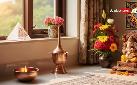 Vastu Tips For Home: वास्तु दोष से चाहिए मुक्ति तो घर में रखें ये 5 चीजें! व्यापार और रोजगार में मिलेंगे अच्छे परिणाम