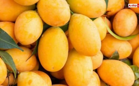 ये 6 लोग आम खाने की ना करें गलती, वरना पहुंच जाएंगे अस्पताल