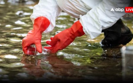 UP के गांवों के पानी में फैल रहा 'जहर', क्रोमियम डंप पर NGT सख्त, चीफ सेक्रेटरी को दिया बड़ा आदेश