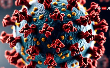 Covid 19 News: कोरोना का प्रोटीन स्वस्थ कोशिकाओं पर करता है हमला, रिसर्च में चौंकाने वाला खुलासा