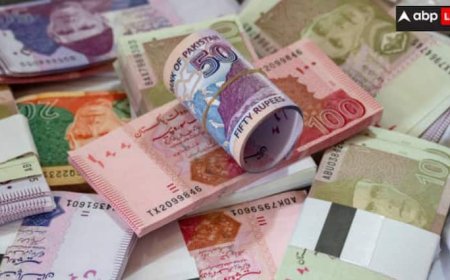 लोन चुकाने में चला जाएगा आधा पैसा तो फिर बाकी चीजों का क्या? पाकिस्तान का बजट जान पकड़ लेंगे माथा