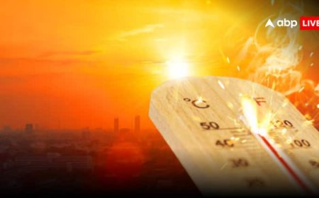 India Heatwave: आसमान से बरस रही आग! उत्तर भारत में 48 पहुंच गया पारा, मौसम विभाग ने दे दिया बड़ा अपडेट, बोला- 'अगले 3 दिन तक...'