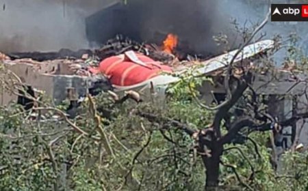 Ahmedabad Plane Crash: उड़ान से पहले 'बर्ड हिट', रफ्तार नहीं पकड़ पाया प्लेन! एयर इंडिया प्लेन क्रैश पर क्या बोले एक्सपर्ट?