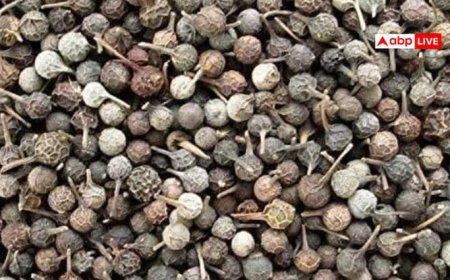 प्रियंगु: आपकी सेहत का रखवाला, त्वचा और पेट की बीमारियों में असरदार