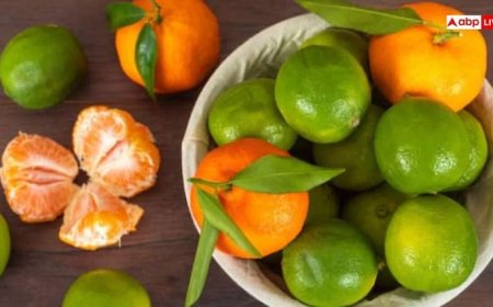 किन महिलाओं को नहीं खाने चाहिए खट्टे फल, सेहत को पहुंचा सकते हैं नुकसान