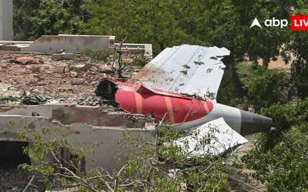 एयर इंडिया का प्लेन क्यों हुआ क्रैश? एक्सपर्ट ने उठाए ये 5 बड़े सवाल, अब तक नहीं मिले जवाब