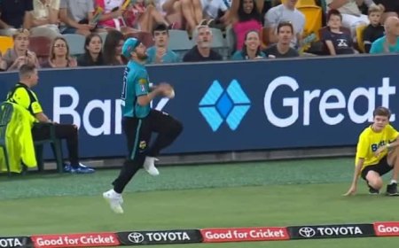 बाउंड्री के पास हवा में गेंद को दो बार उछाल कर कैच पकड़ना अब आउट नहीं! क्या है ICC का नया नियम जानिए