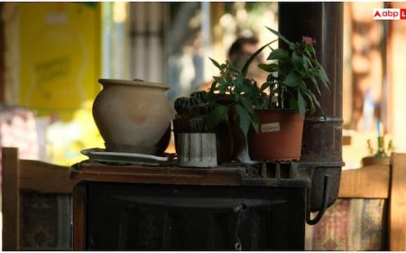 गर्मी में घर को ठंड रखने के लिए अपनाएं ये प्राकृतिक तरीके, एसी-कूलर की भी नहीं पड़ेगी जरूरत