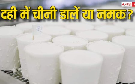 दही नमक डालकर खानी चाहिए या फिर चीनी? 99 फीसदी लोग नहीं जानते हैं ये बात
