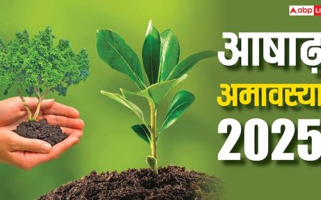 Ashadha Amavasya 2025: आषाढ़ अमावस्या पर लगाएं ये 2 पौधे, 7 पीढ़ियां रहती है खुशहाल