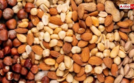 सुबह खाली पेट ड्राई फ्रूट खाना चाहिए या नहीं? जानिए खाने का सही तरीका