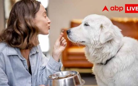 कुत्ते का खाना टेस्ट करने से लेकर बिस्तर पर सोने तक, ये हैं दुनिया की सबसे अजीबोगरीब जॉब्स