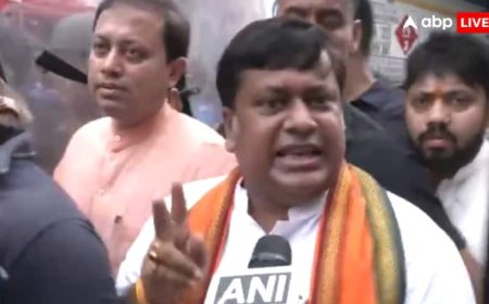 मोदी सरकार के मंत्री पर फेंके गए जूते और पत्थर, खुद ही किया खुलासा, बोले- 'ये लोकतंत्र...'