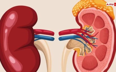 किडनी से जुड़ी 6 गलतफहमियां, आपने भी सुनी होगी...जानिए क्या है सच्चाई