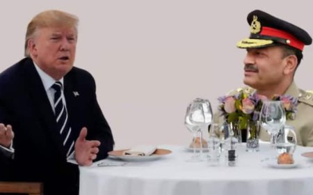 ट्रंप-मुनीर के लंच पर भड़का ईरान, पाकिस्तान को दे डाली वॉर्निंग, कहा- 'जंग में कूदे तो...'