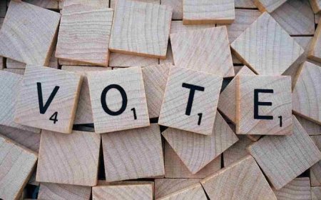 क्या है मोबाइल ई-वोटिंग? किस राज्य में शुरू हुई ये नई सेवा, जानें कौन उठा सकता है इसका फायदा