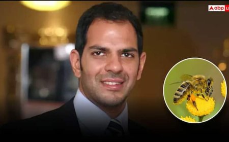 संजय कपूर की तरह मुंह में घुस जाए मक्खी-मच्छर तो क्या करें, कैसे बचाएं अपनी जान?