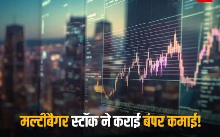 इस साल इन मल्टीबैगर स्टॉक्स ने दिए छप्परफाड़ रिटर्न्स, 400% के साथ निवेशकों को किया मालामाल