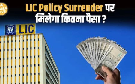Policy बीच में बंद? IRDAI से जानिए कैसे मिलेगा 1 साल के बाद Risk के बिना पैसा | Paisa Live