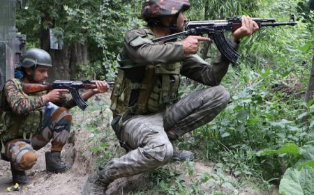 जम्मू-कश्मीर के जंगलों में घुसे आतंकी, सुरक्षाबलों ने घेरा, एनकाउंटर जारी