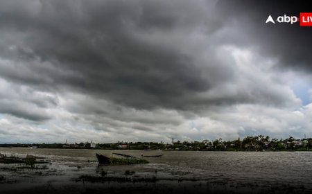 Weather Update: मानसूनी आफत! 29 राज्यों में बरसेंगे बादल, 11 राज्यों में भयंकर बारिश, जानें देश में अगले 48 घंटे कैसा रहेगा मौसम