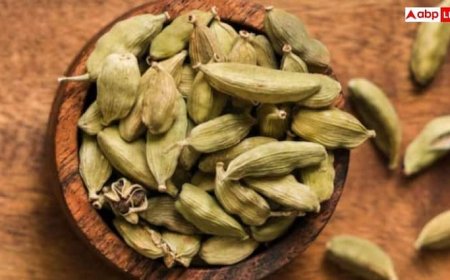 7 दिन तक खाएं हरी इलायची, सेहत को मिलेंगे चमत्कारी फायदे