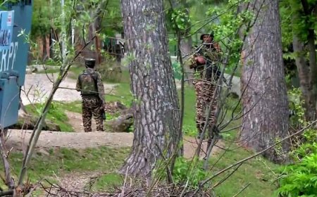 उधमपुर के जंगलों में छिपे जैश-ए-मोहम्मद के आतंकी, एक दहशतगर्द ढेर, तीन को ढूंढ रहे सुरक्षाबल