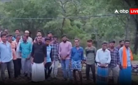 Karnataka MM Hills: MM हिल्स में एक मादा बाघ समेत 4 शावकों की मौत से हड़कंप, CM भी परेशान, जांच का आदेश