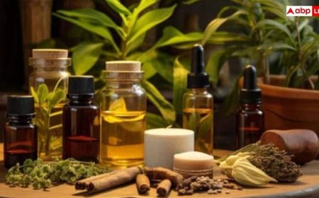 केमिकल नहीं, जड़ी-बूटियों पर भरोसा! 92% लोगों की पहली पसंद आयुर्वेदिक दवाइयां