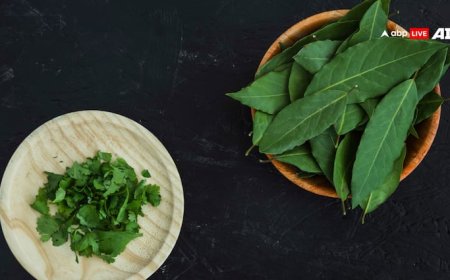 कई बीमारियों को दूर भगाती है नीम की पत्ती, सुबह बासी मुंह खाने से मिलेगा फायदा